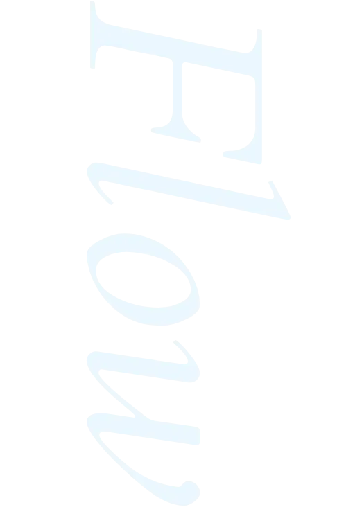 Flow